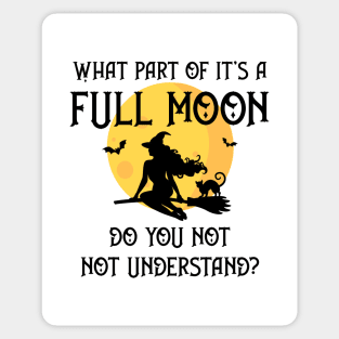 What Part of It's a Full Moon Do You Not Understand Cheeky Witch® Sticker